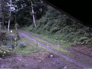 長野県菅平高原 ゆたか山荘 東側(坂下) 2025/07/18 19:00