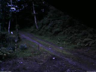 長野県菅平高原 ゆたか山荘 東側(坂下) 2025/07/18 19:15