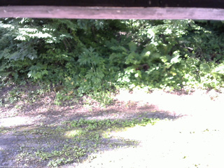 長野県菅平高原 ゆたか山荘 南側 2025/07/19 07:30