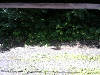 長野県菅平高原 ゆたか山荘 南側 2025/07/19 08:00