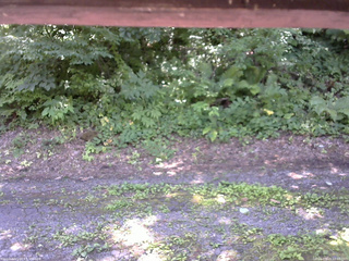 長野県菅平高原 ゆたか山荘 南側 2025/07/19 12:00