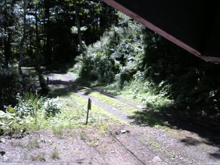 長野県菅平高原 ゆたか山荘 東側(坂下) 2025/07/19 09:15