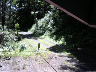 長野県菅平高原 ゆたか山荘 東側(坂下) 2025/07/19 09:45