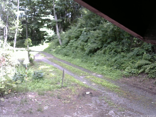 長野県菅平高原 ゆたか山荘 東側(坂下) 2025/07/19 13:30