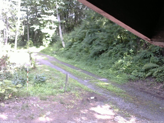 長野県菅平高原 ゆたか山荘 東側(坂下) 2025/07/19 14:15