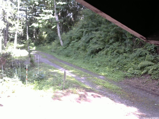 長野県菅平高原 ゆたか山荘 東側(坂下) 2025/07/19 15:15