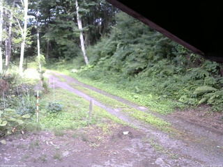 長野県菅平高原 ゆたか山荘 東側(坂下) 2025/07/19 17:15