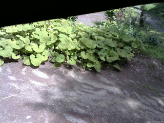 長野県菅平高原 ゆたか山荘 駐車場 2025/07/19 13:30