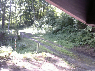 長野県菅平高原 ゆたか山荘 東側(坂下) 2025/07/20 07:15