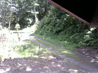 長野県菅平高原 ゆたか山荘 東側(坂下) 2025/07/20 12:15