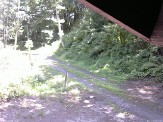 長野県菅平高原 ゆたか山荘 東側(坂下) 2025/07/20 12:30