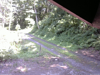 長野県菅平高原 ゆたか山荘 東側(坂下) 2025/07/20 13:15