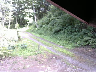 長野県菅平高原 ゆたか山荘 東側(坂下) 2025/07/20 13:45