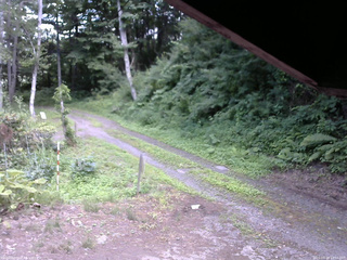 長野県菅平高原 ゆたか山荘 東側(坂下) 2025/07/20 14:00