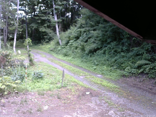 長野県菅平高原 ゆたか山荘 東側(坂下) 2025/07/20 14:15