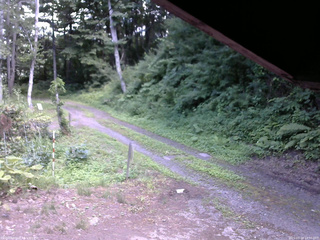 長野県菅平高原 ゆたか山荘 東側(坂下) 2025/07/20 14:30