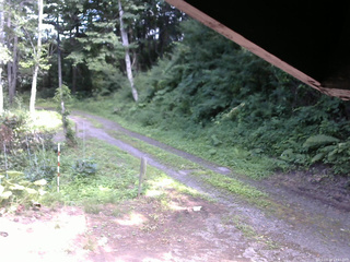 長野県菅平高原 ゆたか山荘 東側(坂下) 2025/07/20 14:45