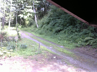 長野県菅平高原 ゆたか山荘 東側(坂下) 2025/07/20 15:00