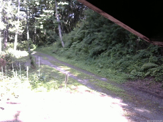 長野県菅平高原 ゆたか山荘 東側(坂下) 2025/07/20 15:30