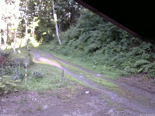 長野県菅平高原 ゆたか山荘 東側(坂下) 2025/07/20 17:30
