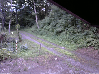 長野県菅平高原 ゆたか山荘 東側(坂下) 2025/07/20 18:30