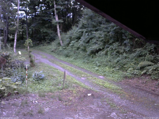 長野県菅平高原 ゆたか山荘 東側(坂下) 2025/07/20 18:45