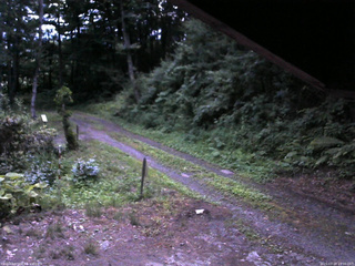 長野県菅平高原 ゆたか山荘 東側(坂下) 2025/07/20 19:00