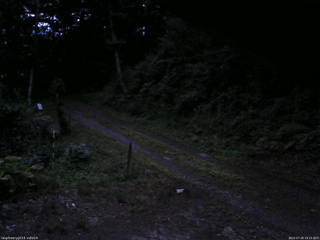 長野県菅平高原 ゆたか山荘 東側(坂下) 2025/07/20 19:15