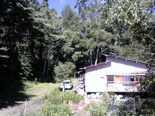 長野県菅平高原 ゆたか山荘 西側(坂上) 2025/07/20 08:30