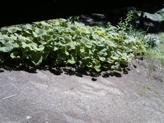 長野県菅平高原 ゆたか山荘 駐車場 2025/07/20 09:15