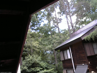 長野県菅平高原 ゆたか山荘 北側 2025/07/21 11:30