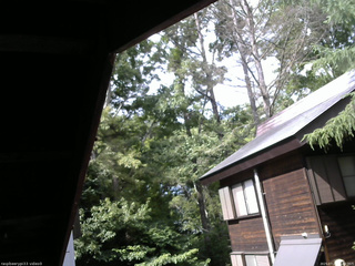 長野県菅平高原 ゆたか山荘 北側 2025/07/21 15:00