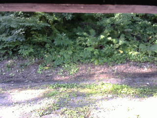 長野県菅平高原 ゆたか山荘 南側 2025/07/21 07:00