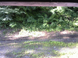 長野県菅平高原 ゆたか山荘 南側 2025/07/21 07:15