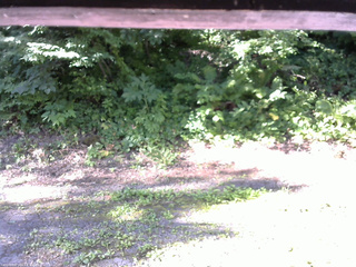 長野県菅平高原 ゆたか山荘 南側 2025/07/21 07:30