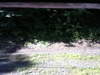 長野県菅平高原 ゆたか山荘 南側 2025/07/21 07:45