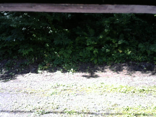 長野県菅平高原 ゆたか山荘 南側 2025/07/21 08:00