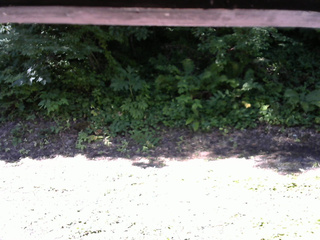 長野県菅平高原 ゆたか山荘 南側 2025/07/21 08:15