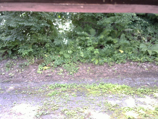 長野県菅平高原 ゆたか山荘 南側 2025/07/21 10:45