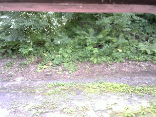 長野県菅平高原 ゆたか山荘 南側 2025/07/21 11:00