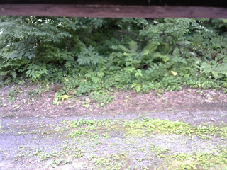 長野県菅平高原 ゆたか山荘 南側 2025/07/21 11:30