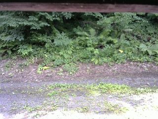 長野県菅平高原 ゆたか山荘 南側 2025/07/21 14:45