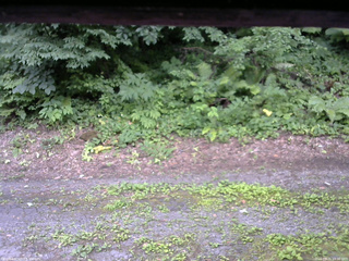 長野県菅平高原 ゆたか山荘 南側 2025/07/21 15:30