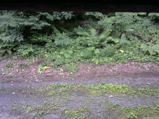 長野県菅平高原 ゆたか山荘 南側 2025/07/21 17:15