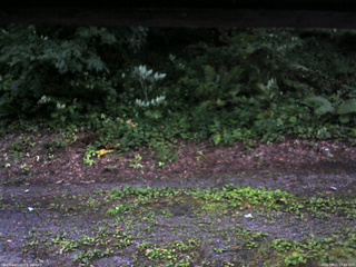 長野県菅平高原 ゆたか山荘 南側 2025/07/21 17:30