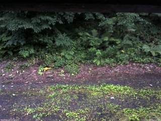 長野県菅平高原 ゆたか山荘 南側 2025/07/21 17:45