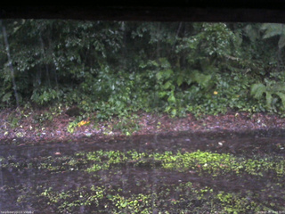 長野県菅平高原 ゆたか山荘 南側 2025/07/21 18:00