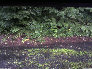 長野県菅平高原 ゆたか山荘 南側 2025/07/21 18:30