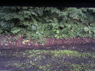 長野県菅平高原 ゆたか山荘 南側 2025/07/21 18:45