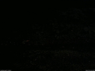 長野県菅平高原 ゆたか山荘 南側 2025/07/21 19:15